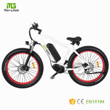 En15194 Approved Middle Drive Motor Electric Bicycle